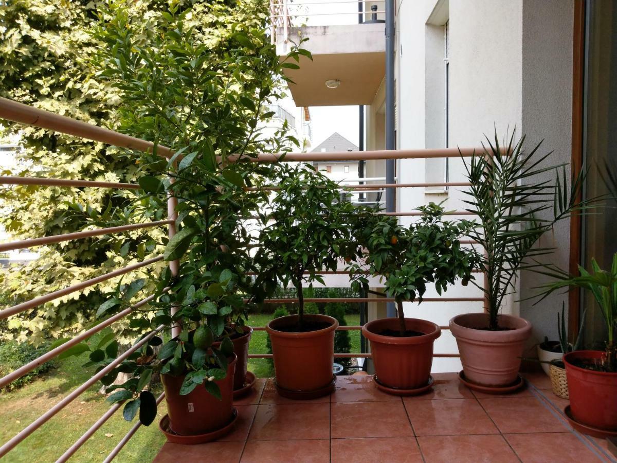 Mandarin Wellness Apartman Σίοφοκ Εξωτερικό φωτογραφία